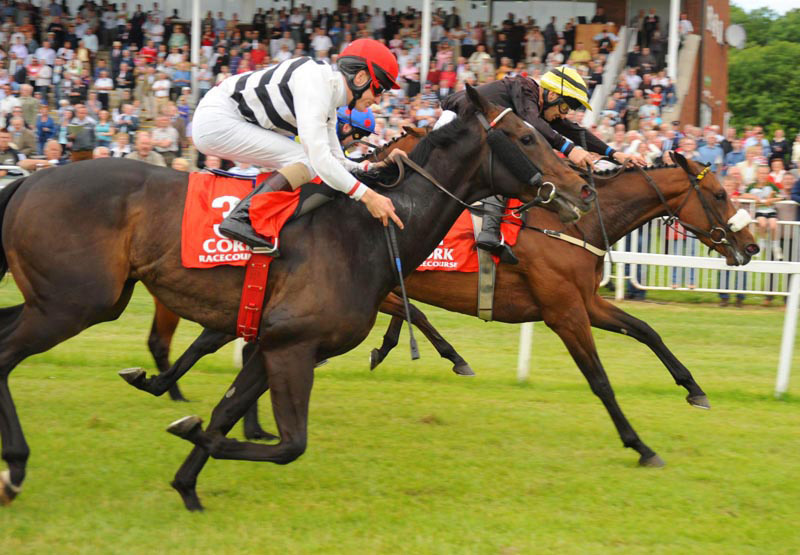 Cork Race Course Pure Cork Thingstodo