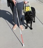Skills-Training-for-the-Blind-Cane-Travel-with-guide-dog.jpg