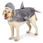 casual-canine-shark-halloween-dog-costume-2.jpg