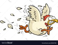 cartoon-running-chicken-vector-20627400.jpg