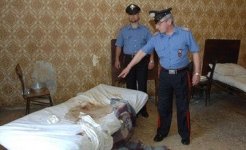 soiledbed-360x220.jpg