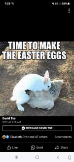 FB_IMG_1711115837195.jpg