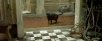 1000005322.gif