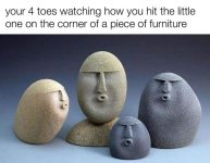 azz15.jpg