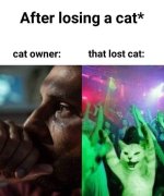 FB_IMG_1719437997484.jpg