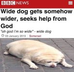 1721677332047.jpeg