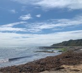 IMG_2494.jpeg