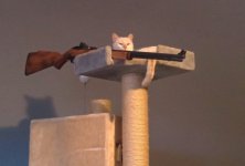 IMG_2680.jpeg