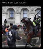 1729210530880.jpeg