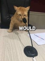 IMG_2902.jpeg