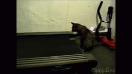 1731706826582.gif