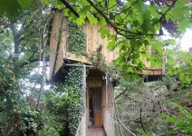 Treehouse-Cork-768x544.jpg