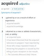 IMG_3767.jpeg