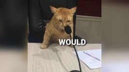 IMG_3972.jpeg
