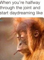 FB_IMG_1745013167258.jpg
