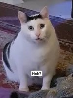 5C7145CE-AA3C-4E63-9377-775C7F12D0F5.jpeg