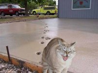 IMG_3163.jpeg