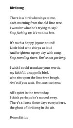 Birdsong.jpg