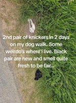 9021188E-D32A-4D04-99D5-6BB246FD9F61.jpeg