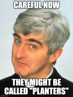 1763542946038.png 1763542946038.png