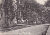 1000005876.png 1000005876.png