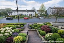 IMG_7580.jpeg