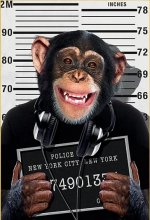 Fun-Art-Criminal-Monkey-Canvas-Painting-Posters-and-Prints-Animals-Decorative-Picture-for-Livi...jpg