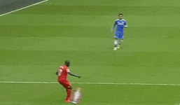 Slippy G.gif