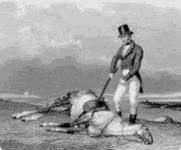 1775516055421.gif