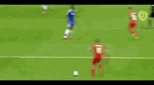 steven-gerrard-slip.gif