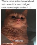 FB_IMG_1778366392842.jpg
