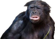 1784084133522.png