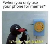 FB_IMG_1784651864552.jpg