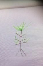 IMG_6024.jpeg