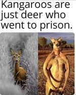 5865.jpg