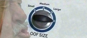 bv4f73qkqec41.jpg