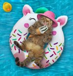cat-pool-inflatable-white-ring-beige-pink-straw-hat-cone-ice-cream-lying-swimming-resort-22143...jpg